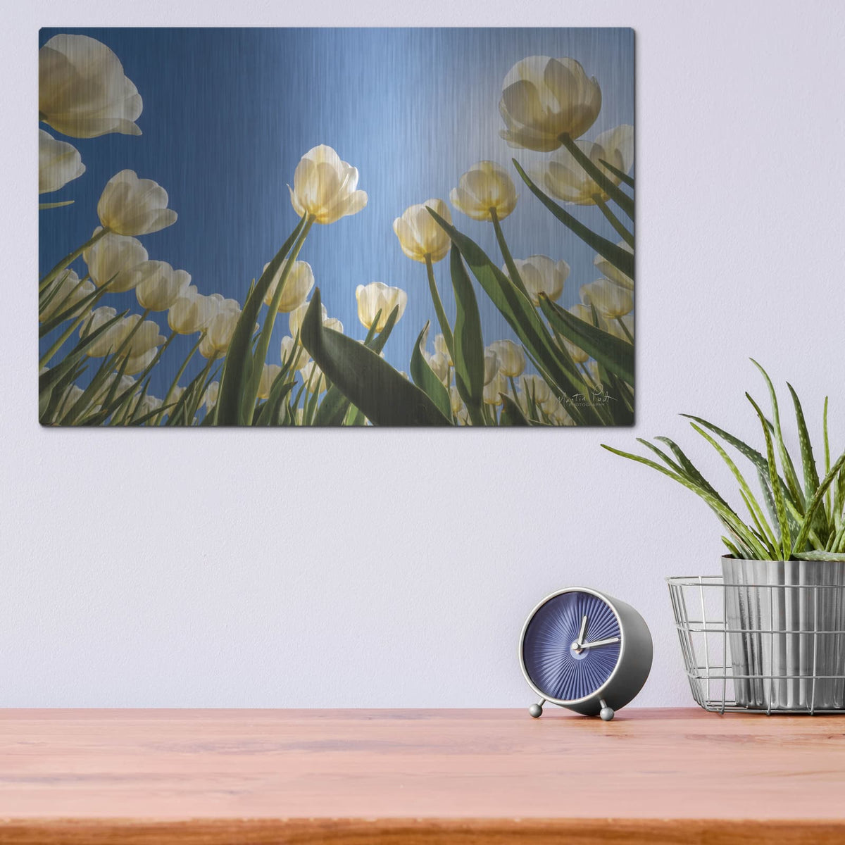 'Look Up in White' by Martin Podt – Metal Wall Art, 16x12 room view