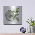 'Two Vases 2' by Chris Paschke – Metal Wall Art, 12x12 room view