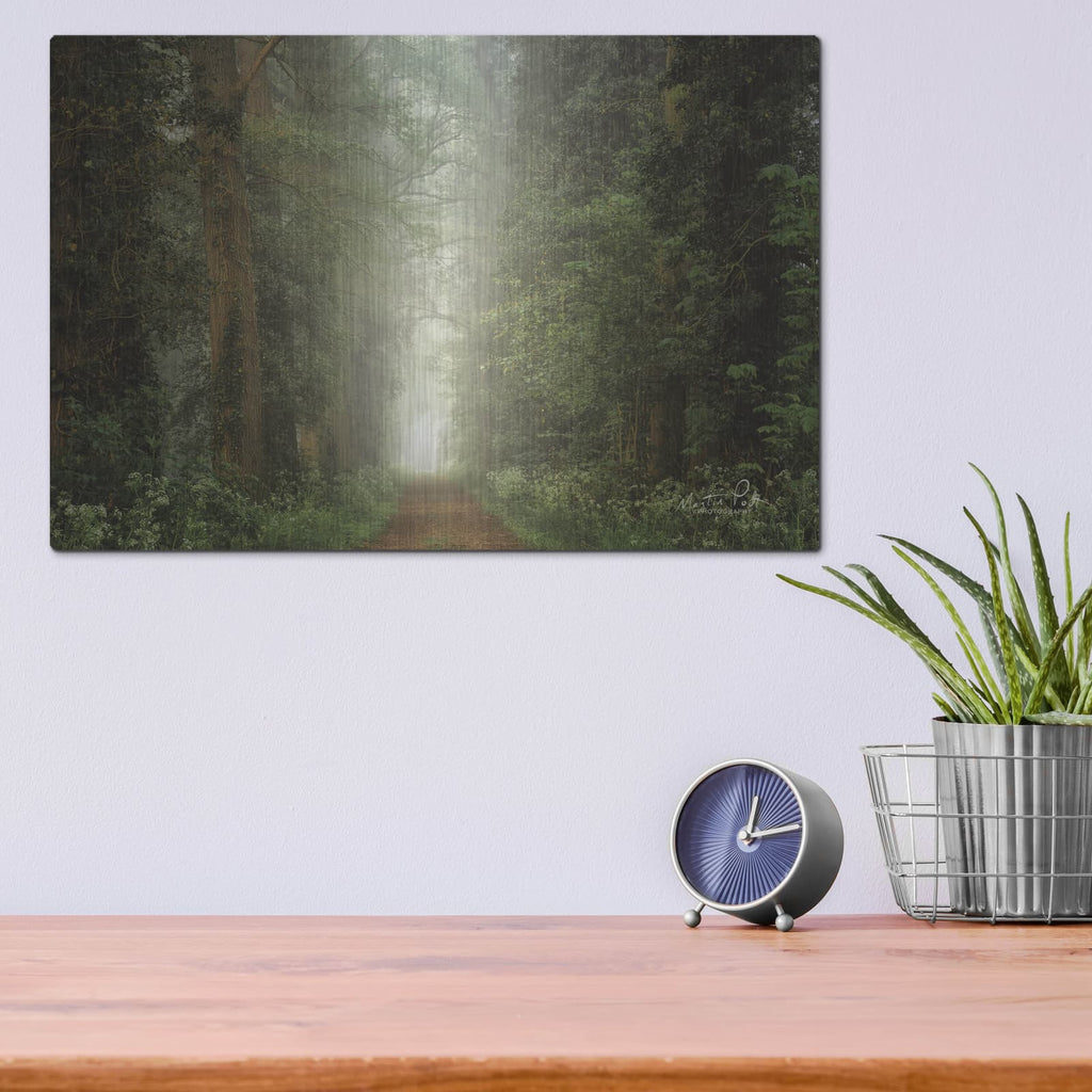 'Misty Spring Road' by Martin Podt – Metal Wall Art, 16x12 room view