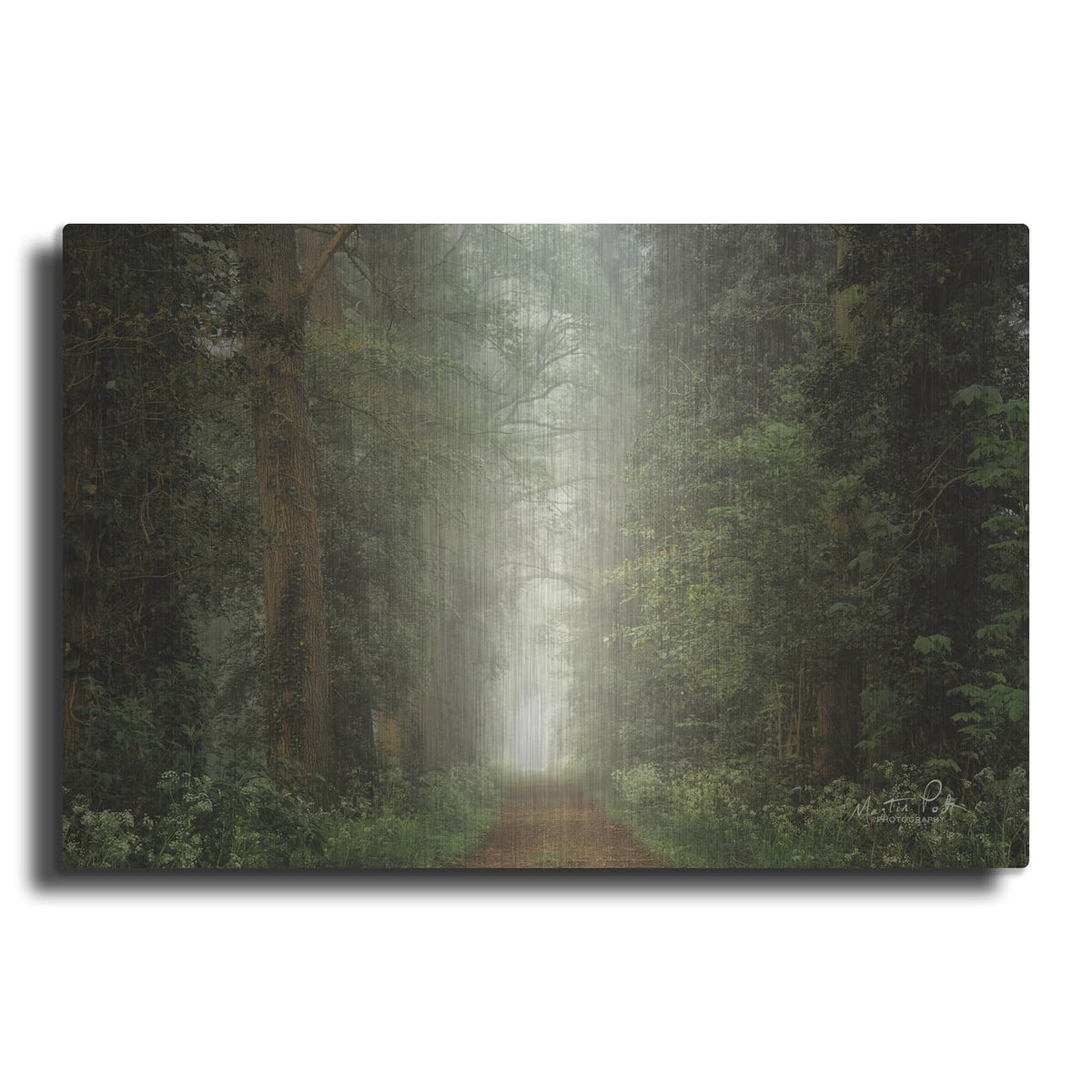 'Misty Spring Road' by Martin Podt – Metal Wall Art