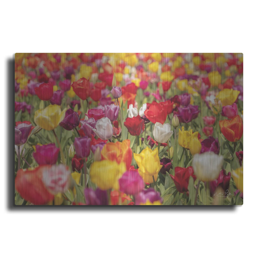 'Colorful Bouquet' by Martin Podt – Metal Wall Art