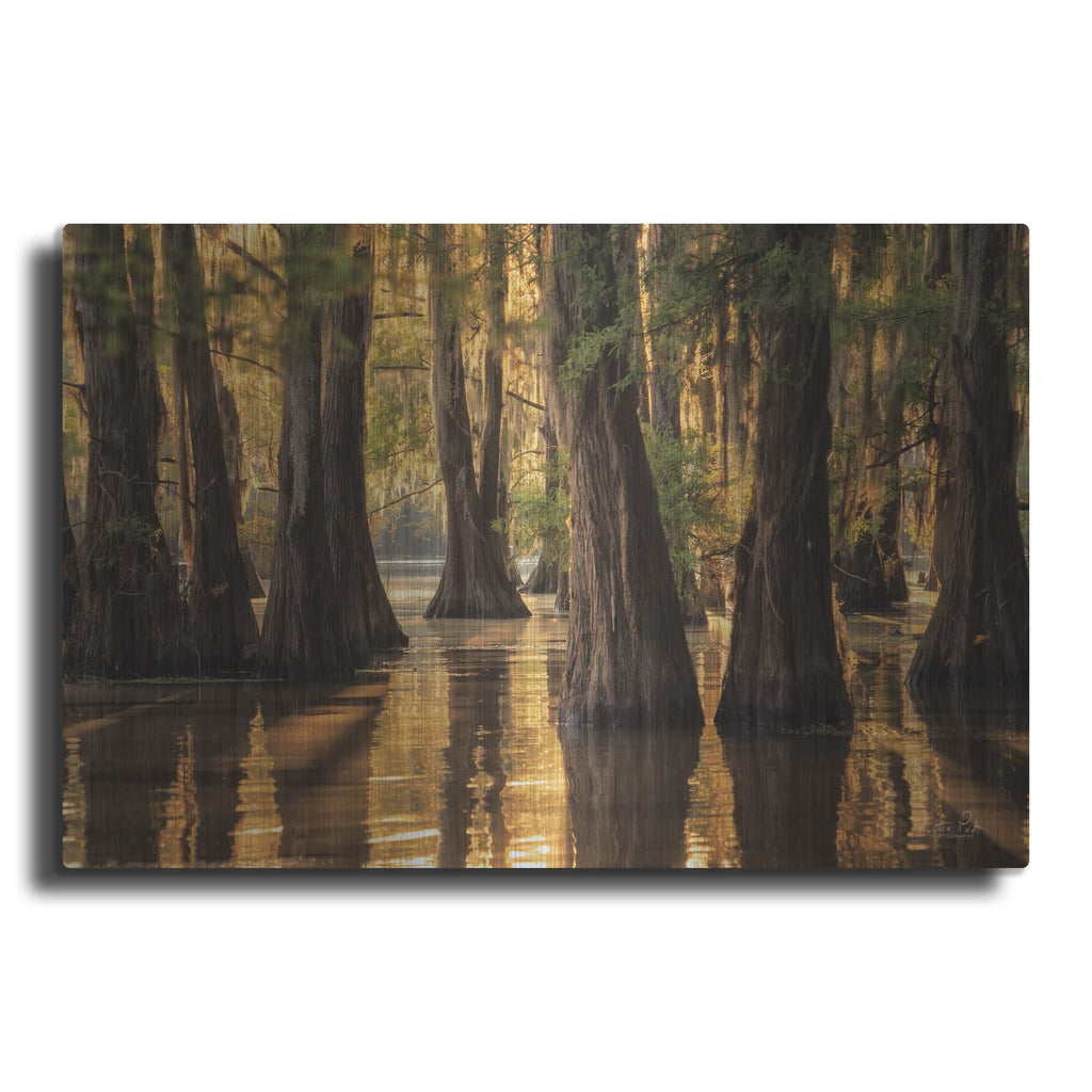 'Natural Beauty' by Martin Podt – Metal Wall Art