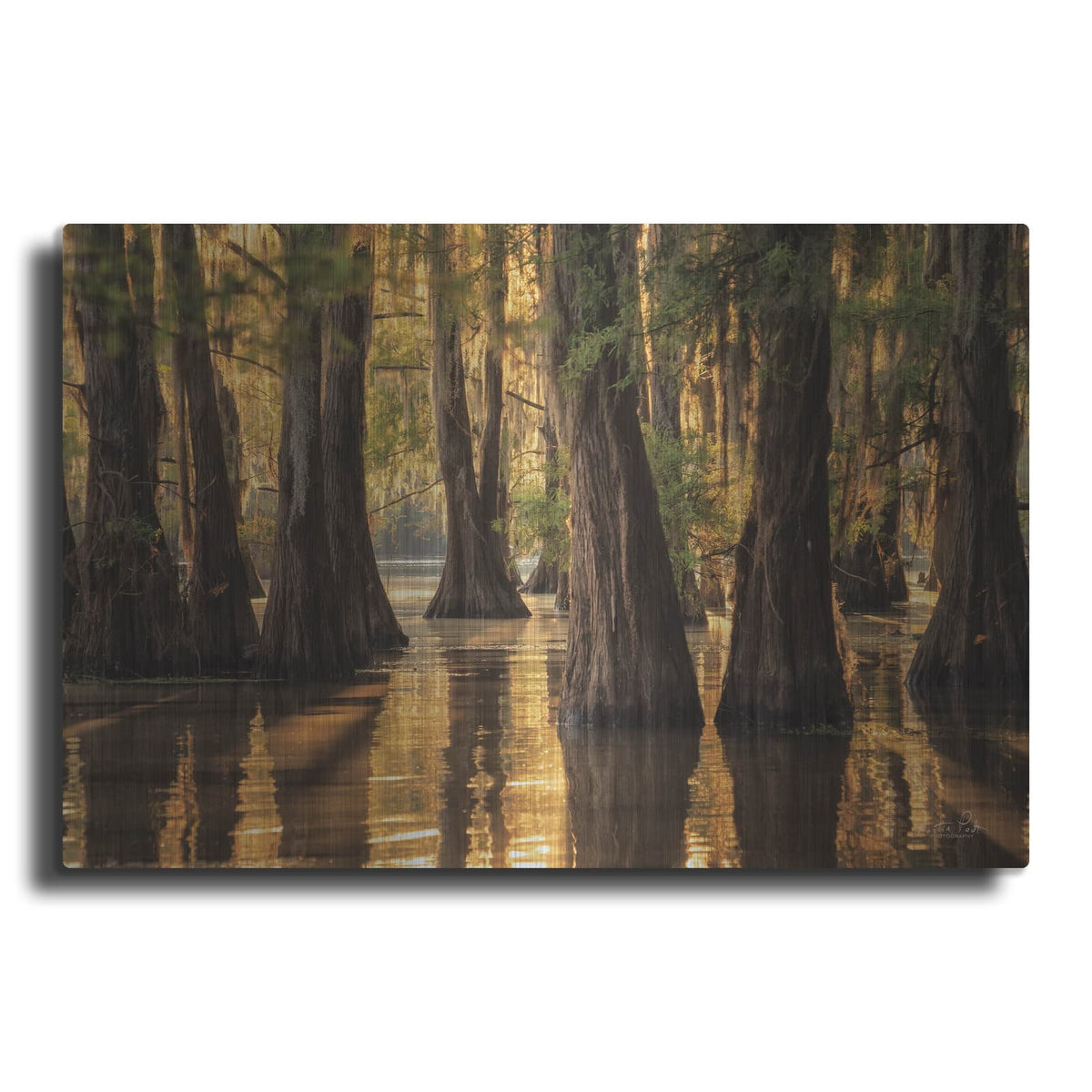'Natural Beauty' by Martin Podt – Metal Wall Art