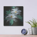 'Clematis 1' by Chris Paschke – Metal Wall Art, 12x12 room view