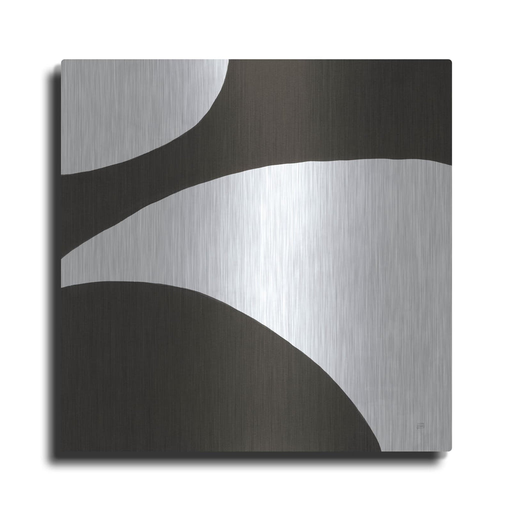 'Curvilinear 7' by Chris Paschke – Metal Wall Art