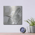 'Touch Of Gray 1' by Chris Paschke – Metal Wall Art, 12x12 room view