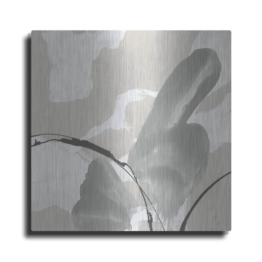 'Touch Of Gray 1' by Chris Paschke – Metal Wall Art