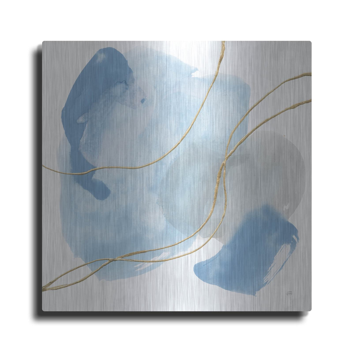 'Organic Vision 2' by Chris Paschke – Metal Wall Art