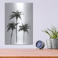 'Dark Palms 1' by Chris Paschke – Metal Wall Art, 12x16 room view