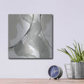 'Touch Of Gray 2' by Chris Paschke – Metal Wall Art, 12x12 room view