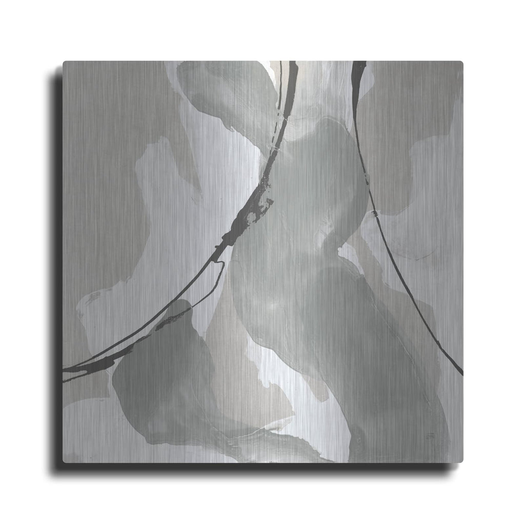 'Touch Of Gray 2' by Chris Paschke – Metal Wall Art