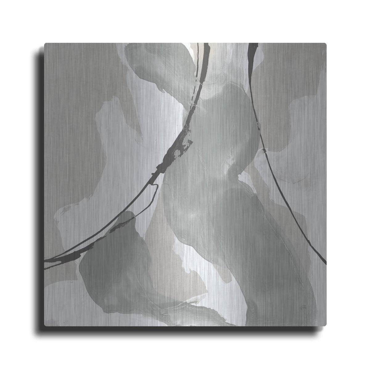'Touch Of Gray 2' by Chris Paschke – Metal Wall Art