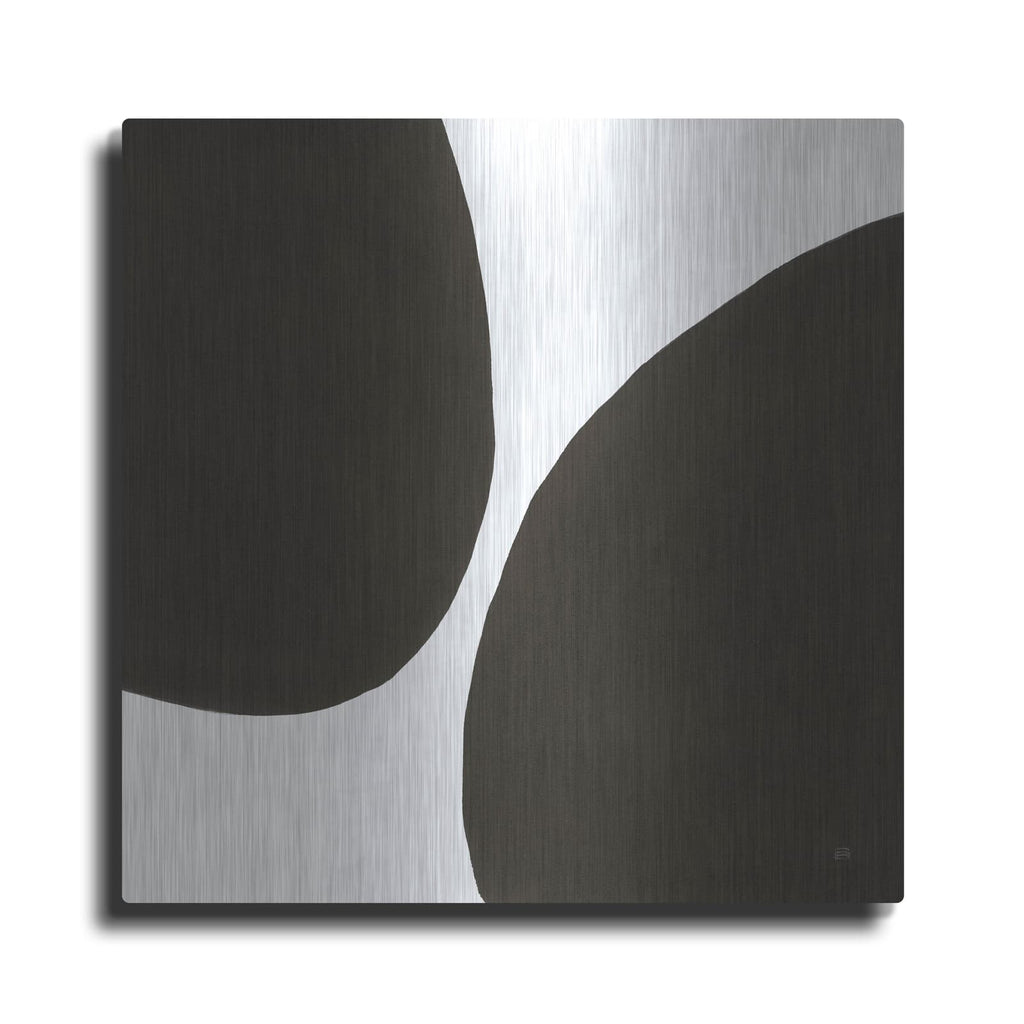 'Curvilinear 1' by Chris Paschke – Metal Wall Art