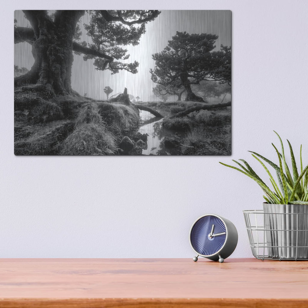 'Black & White Fanal' by Martin Podt – Metal Wall Art, 16x12 room view