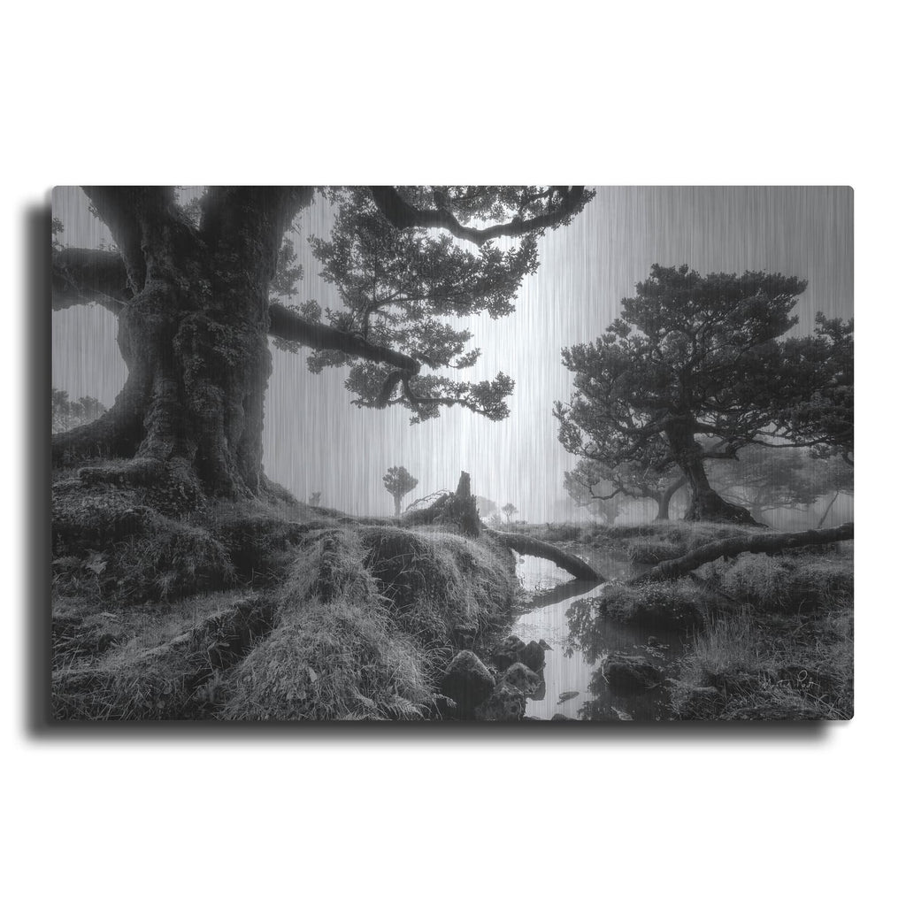 'Black & White Fanal' by Martin Podt – Metal Wall Art