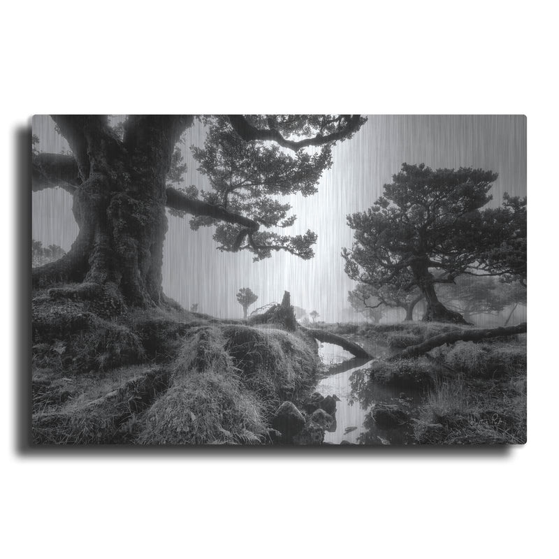 'Black & White Fanal' by Martin Podt – Metal Wall Art