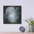 'Hydrangea 2' by Chris Paschke – Metal Wall Art, 12x12 room view