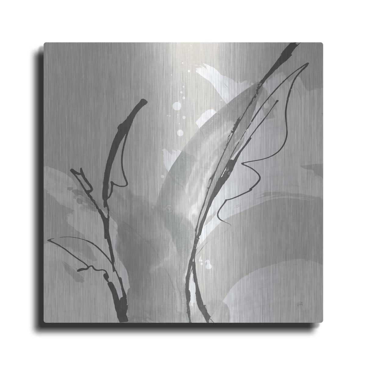 'Touch Of Gray V' by Chris Paschke – Metal Wall Art