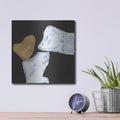 'Delicate Balance 3' by Chris Paschke – Metal Wall Art, 12x12 room view
