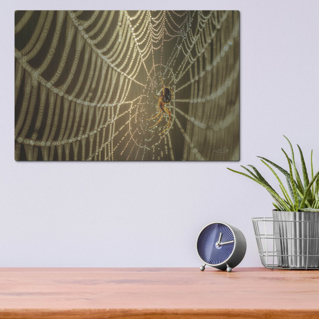 'The Spider and Her Jewels' by Martin Podt – Metal Wall Art, 16x12 room view