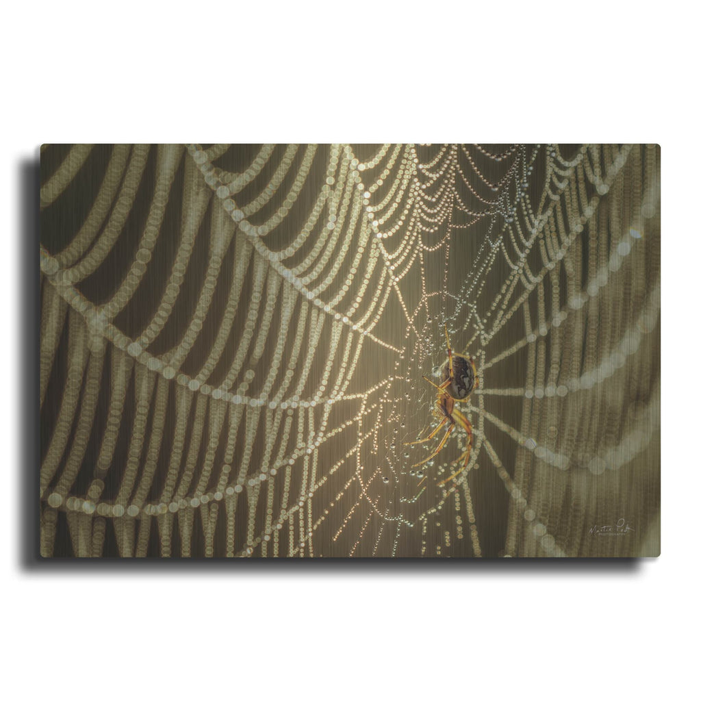 'The Spider and Her Jewels' by Martin Podt – Metal Wall Art