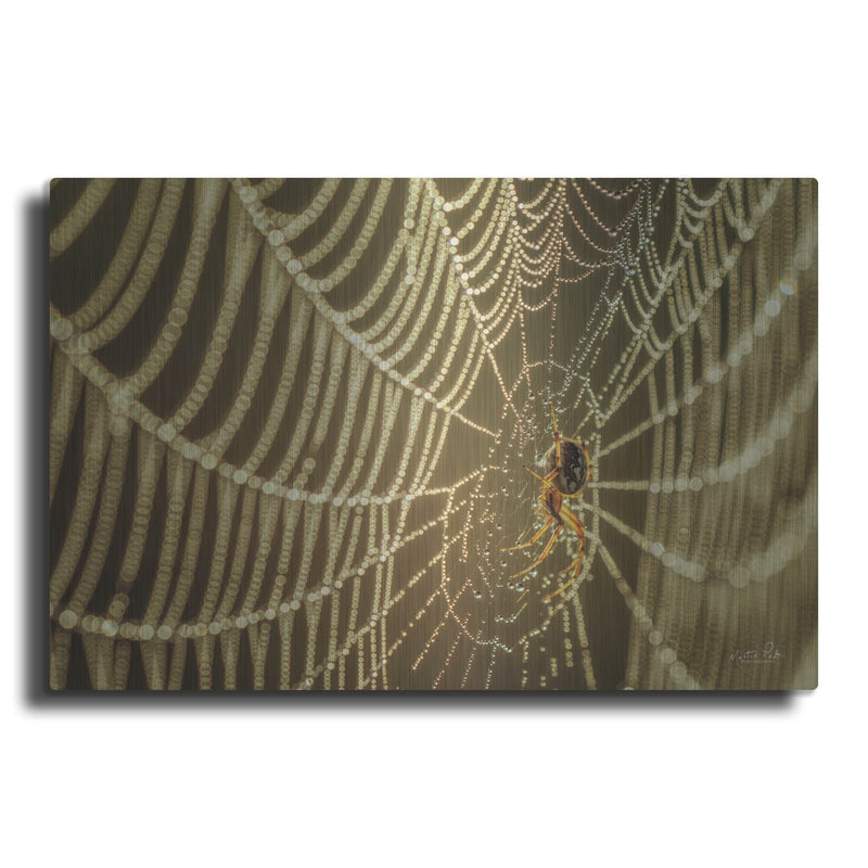 'The Spider and Her Jewels' by Martin Podt – Metal Wall Art