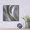 'Webbed 3' by Chris Paschke – Metal Wall Art, 12x12 room view