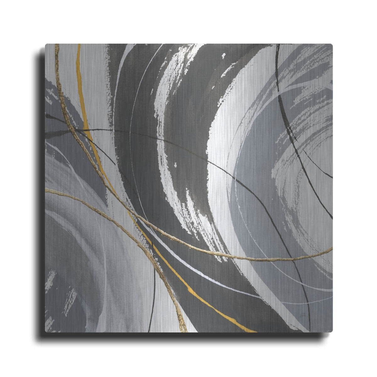 'Webbed 3' by Chris Paschke – Metal Wall Art