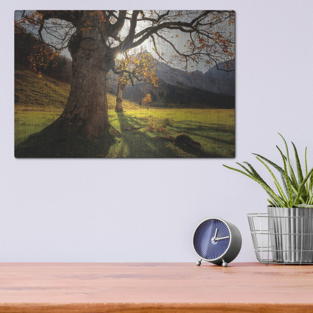 'The Star' by Martin Podt – Metal Wall Art, 16x12 room view