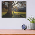 'The Star' by Martin Podt – Metal Wall Art, 16x12 room view
