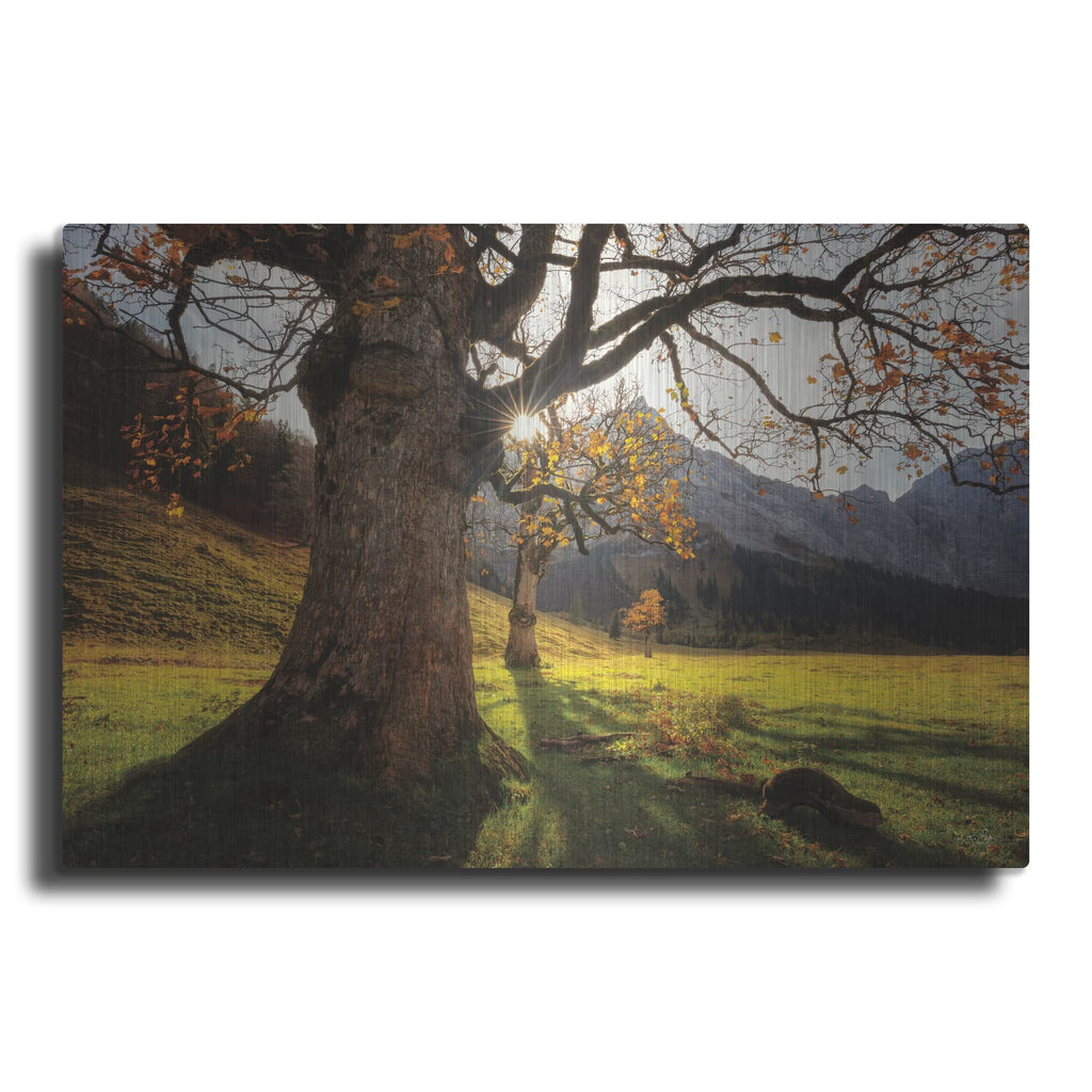 'The Star' by Martin Podt – Metal Wall Art