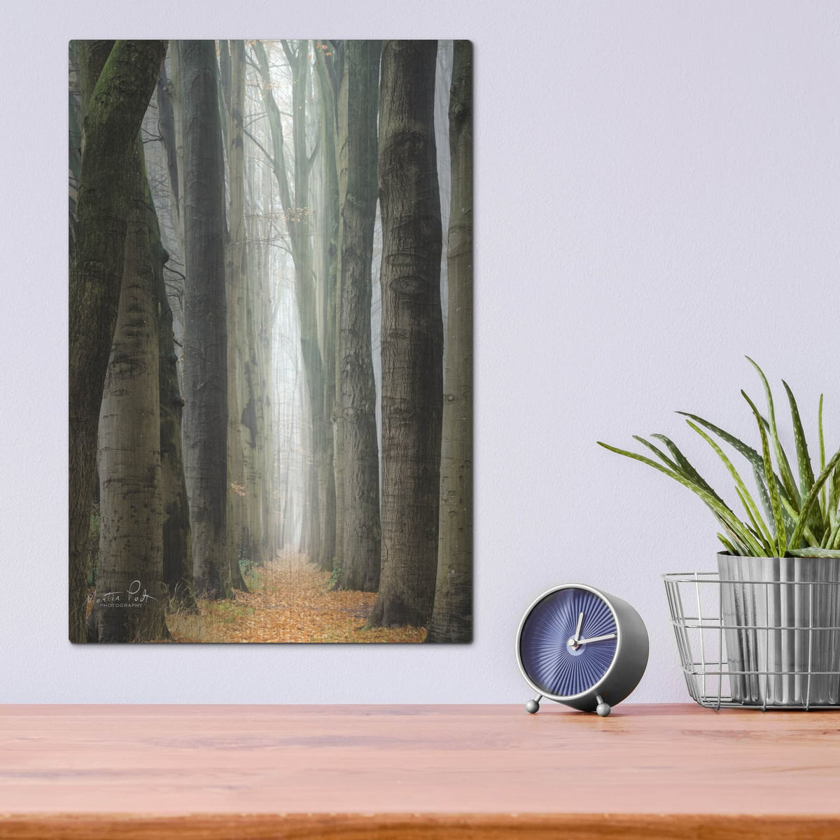'Narrow Alley in the Netherlands' by Martin Podt – Metal Wall Art, 12x16 room view
