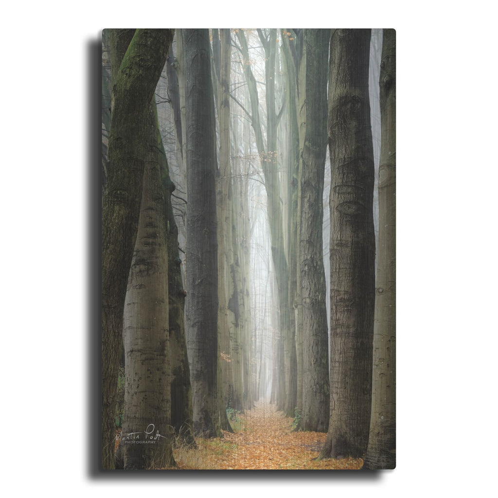 'Narrow Alley in the Netherlands' by Martin Podt – Metal Wall Art