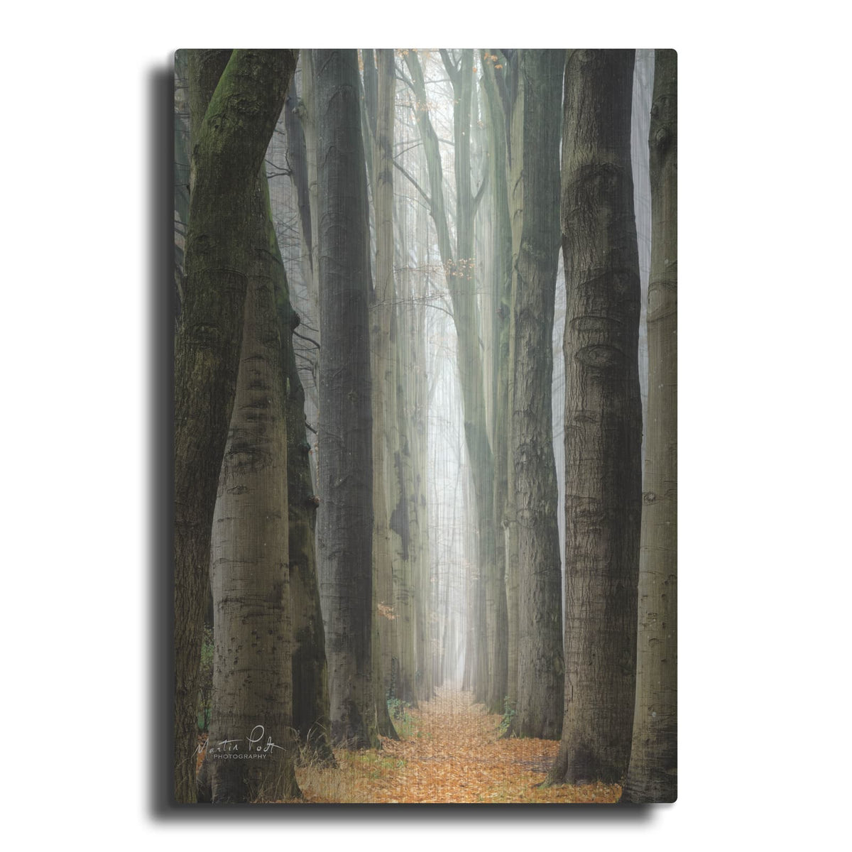 'Narrow Alley in the Netherlands' by Martin Podt – Metal Wall Art