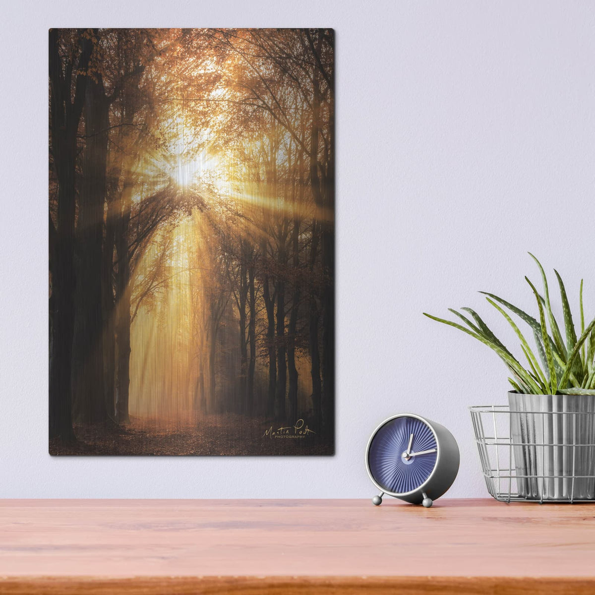 'Sunburst' by Martin Podt – Metal Wall Art, 12x16 room view