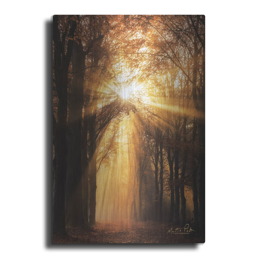 'Sunburst' by Martin Podt – Metal Wall Art