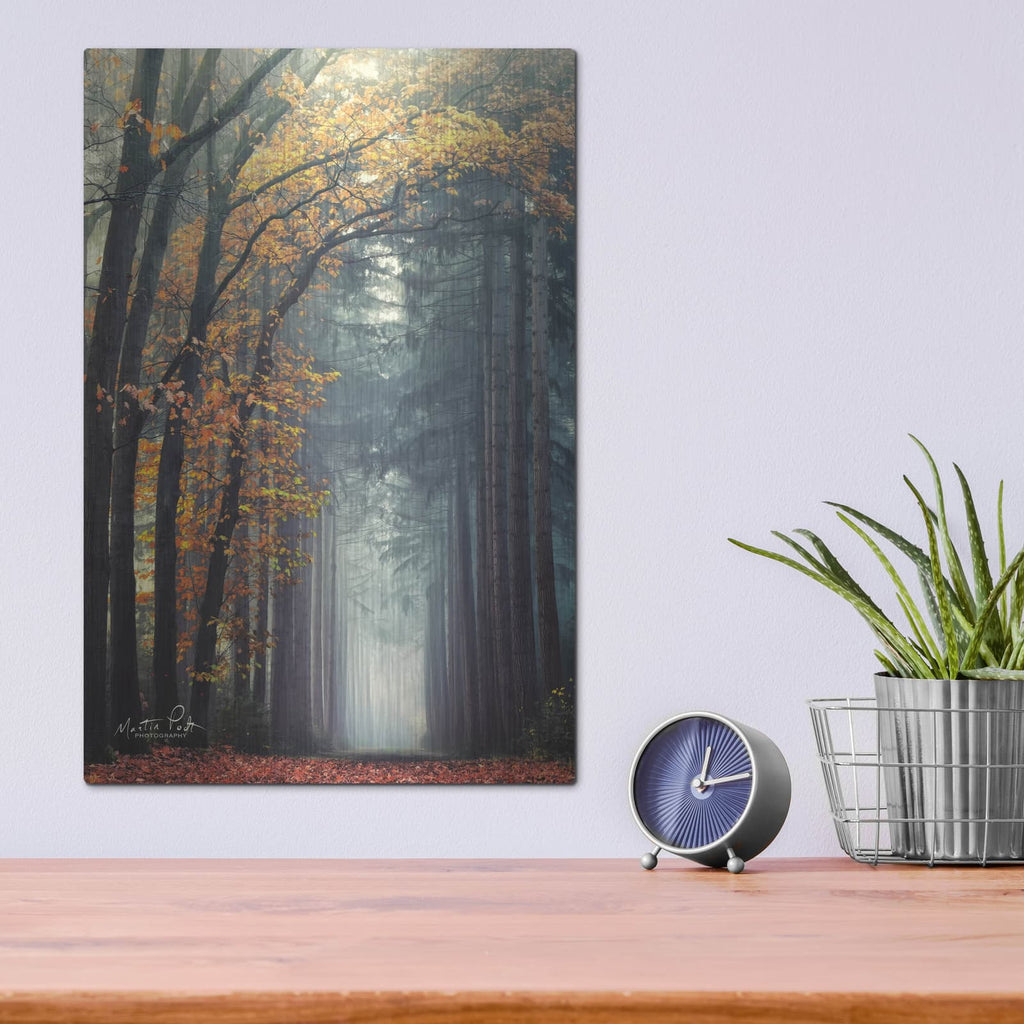 'To Another World' by Martin Podt – Metal Wall Art, 12x16 room view