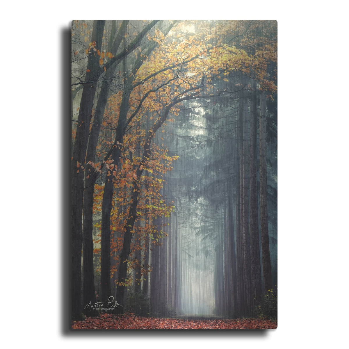 'To Another World' by Martin Podt – Metal Wall Art