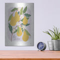 'Marche Aux Fruits 3 V2' by Laura Marshall – Metal Wall Art, 12x16 room view
