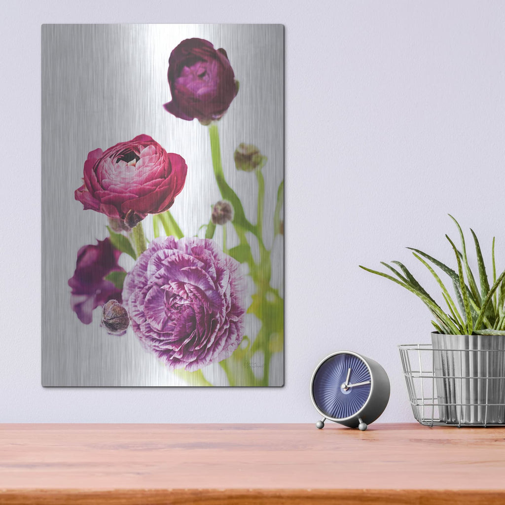 'Spring Ranunculus 6' by Laura Marshall – Metal Wall Art, 12x16 room view