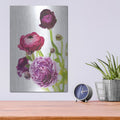 'Spring Ranunculus 6' by Laura Marshall – Metal Wall Art, 12x16 room view