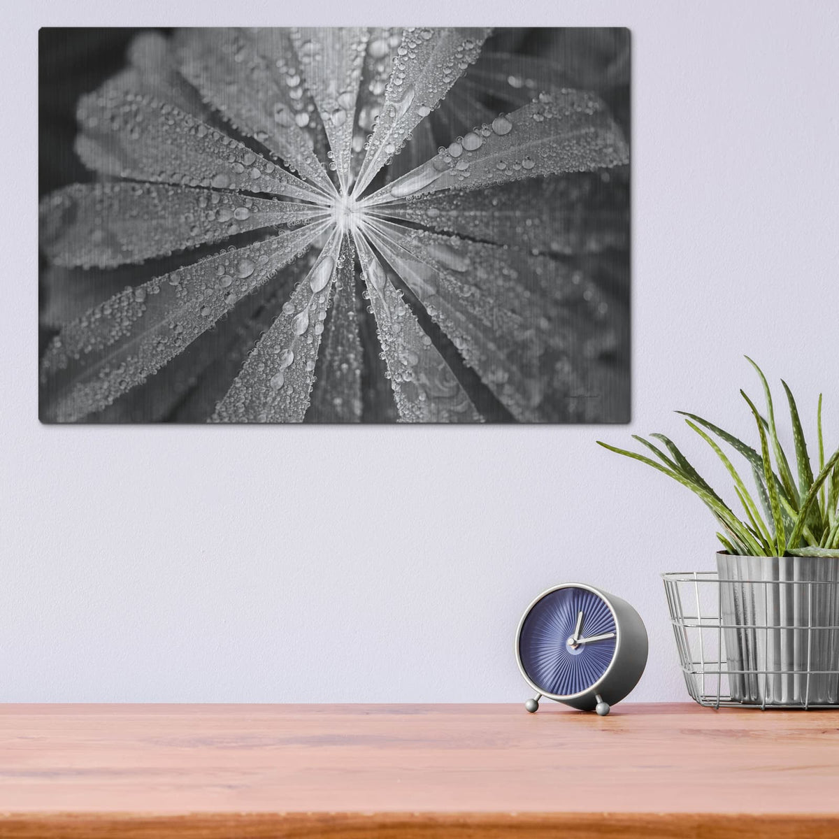 'Raindrops On Lupine' by Laura Marshall – Metal Wall Art, 16x12 room view