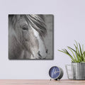 'Elska 3 Bw' by Laura Marshall – Metal Wall Art, 12x12 room view