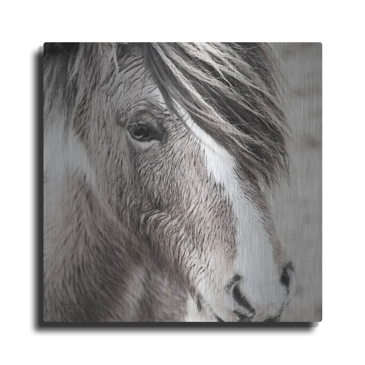 'Elska 3 Bw' by Laura Marshall – Metal Wall Art