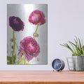 'Spring Ranunculus V' by Laura Marshall – Metal Wall Art, 12x16 room view