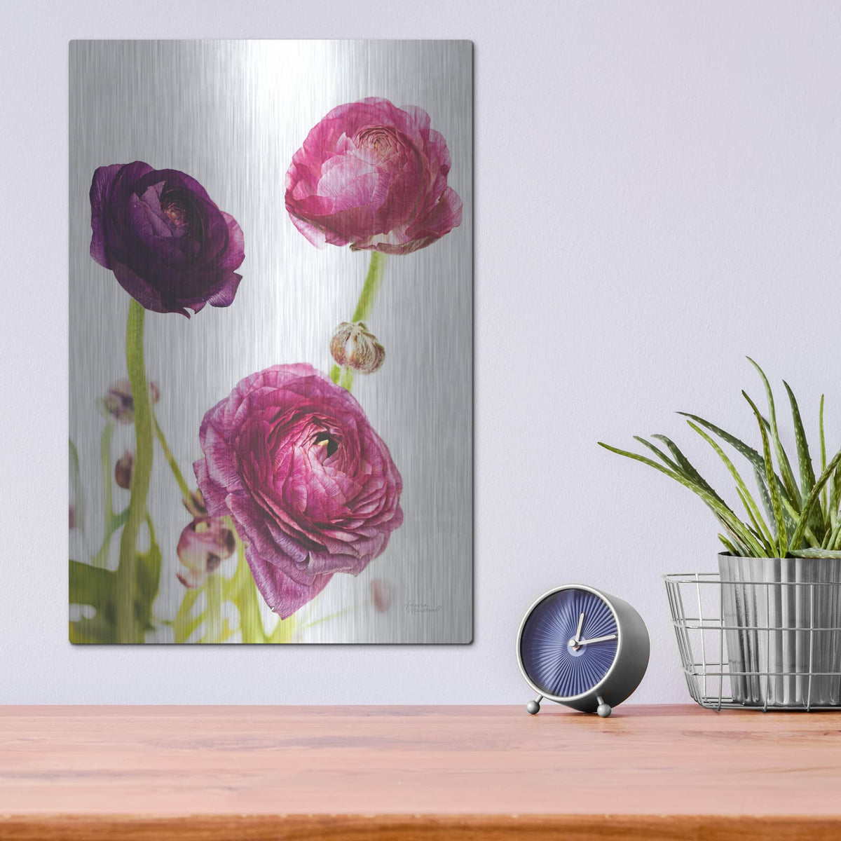 'Spring Ranunculus V' by Laura Marshall – Metal Wall Art, 12x16 room view
