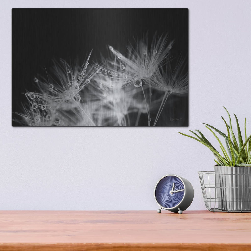 'Dandelion Dewdrops 2' by Laura Marshall – Metal Wall Art, 16x12 room view