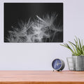 'Dandelion Dewdrops 2' by Laura Marshall – Metal Wall Art, 16x12 room view
