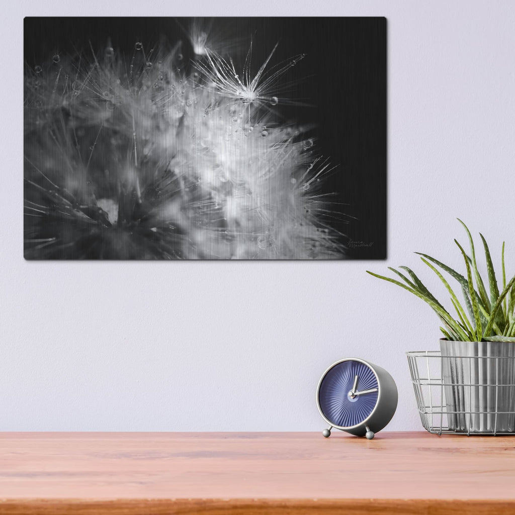 'Dandelion Dewdrops 1' by Laura Marshall – Metal Wall Art, 16x12 room view