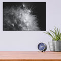 'Dandelion Dewdrops 1' by Laura Marshall – Metal Wall Art, 16x12 room view